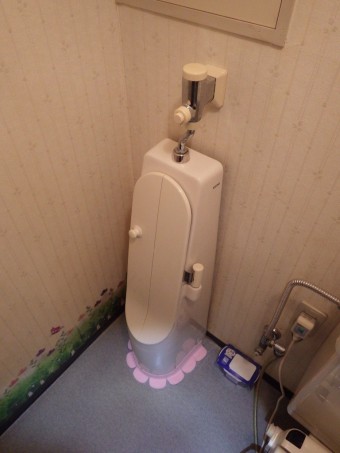 IMGP3191-e1717393903847